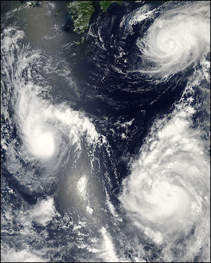 20111106-wiki C typhoon  Pacific_Typhoons.jpg